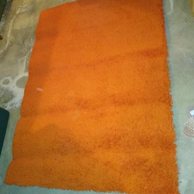 Orange shag rug