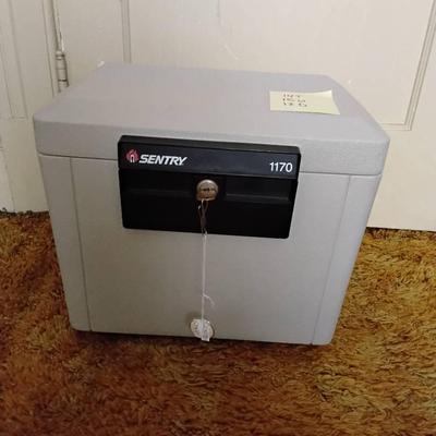 Sentry 1170 Safe