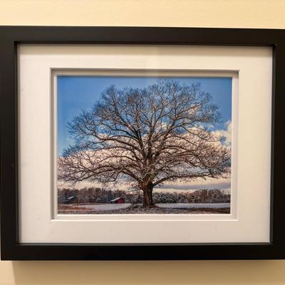 Winter Tree Print