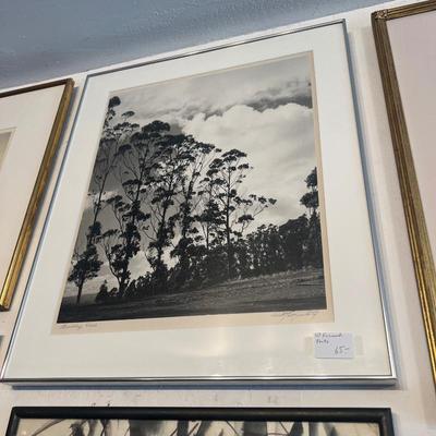 Sale Photo Thumbnail #408