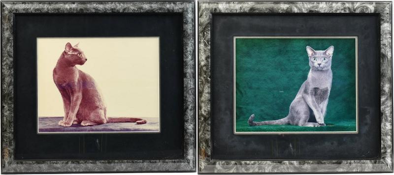 Sale Photo Thumbnail #84