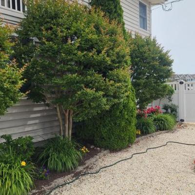 Sale Photo Thumbnail #152