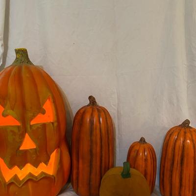 Pumpkin Patch