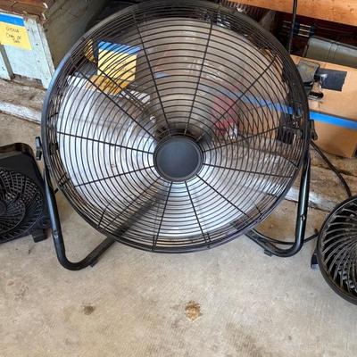 Black Fans