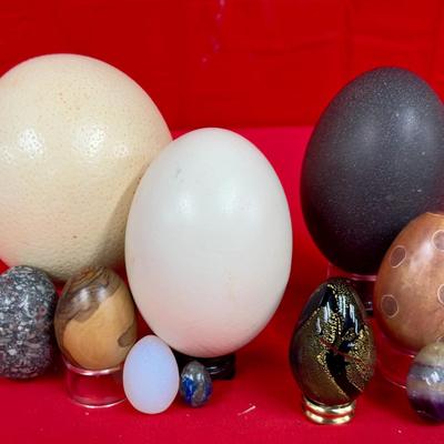 Decorative Eggs, Emu Egg And Ostrich Eggs! 