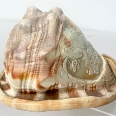 Italian Hand Carved Cameo Shell 