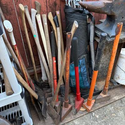 Sale Photo Thumbnail #338
