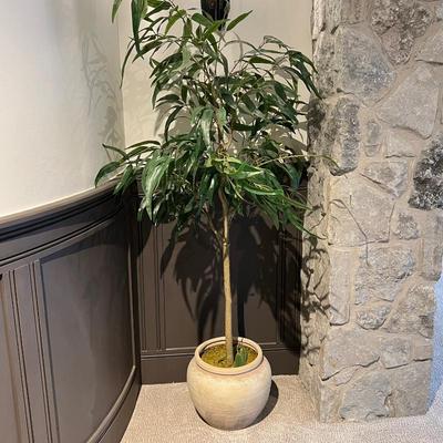 Faux Plant