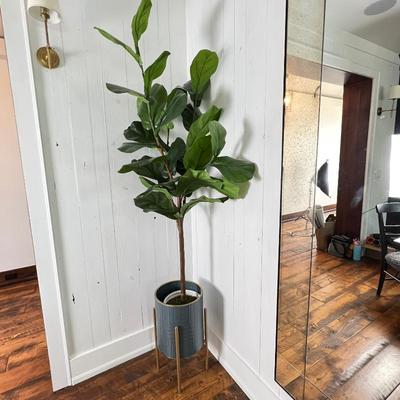 Faux 55” tall Fiddle Leaf Fig Tree 