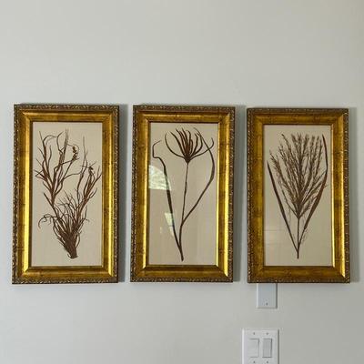 Uttermost Gold Botanicals