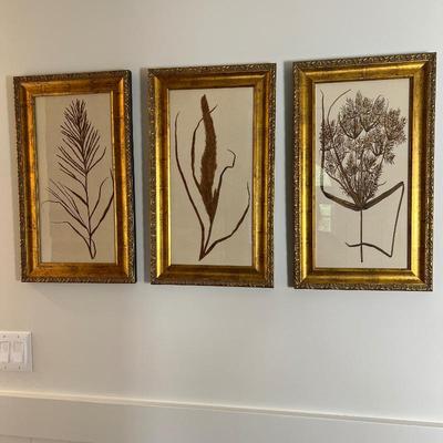 Uttermost Gold Botanicals