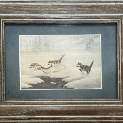 Wilderness Gallery Framed Wolf Print 