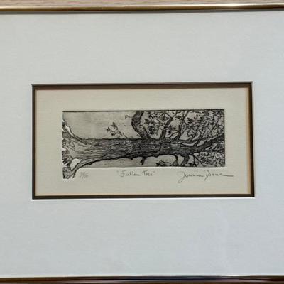 Limited Edition Framed Print Fallen Tree 30/150 By Joanne Piaac 