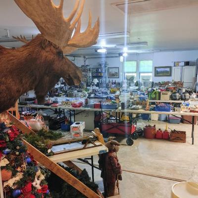 Sale Photo Thumbnail #343