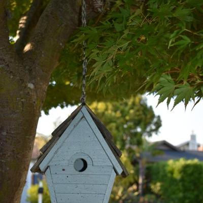 Sale Photo Thumbnail #159