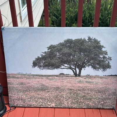 Sale Photo Thumbnail #60