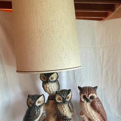 Owls 