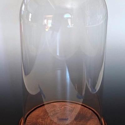 Large Glass Dome Display Cloche With Wooden Base, 20” Tall