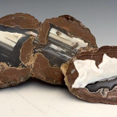 2 Thunder Egg Geodes, Sliced And Polished  