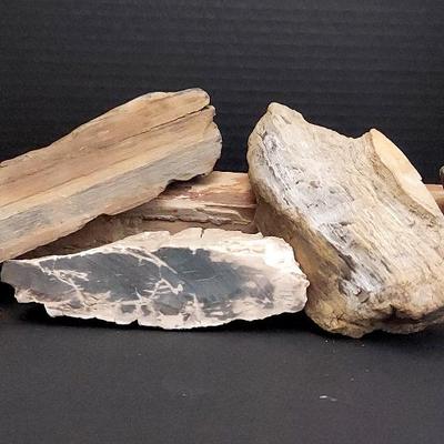 Collection Of Petrified Wood And Other Rock Forms