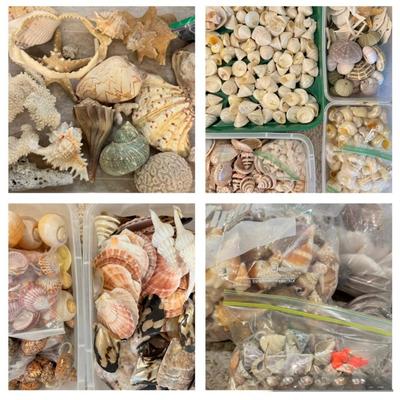 Sale Photo Thumbnail #172
