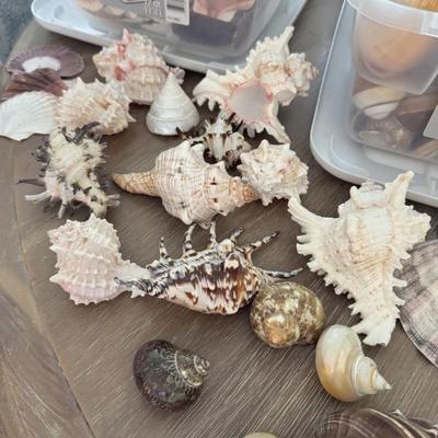 Sale Photo Thumbnail #149