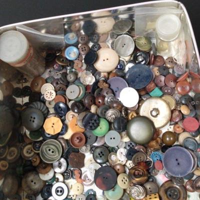 Button Collection #4