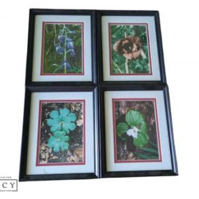 Sale Photo Thumbnail #106