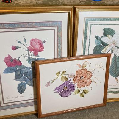 Art - Framed Flower Prints 