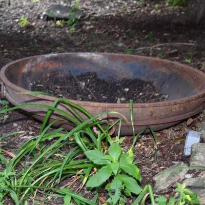 258 back yard