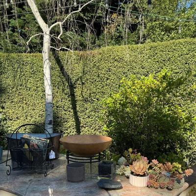 Succulents & outdoor decor 