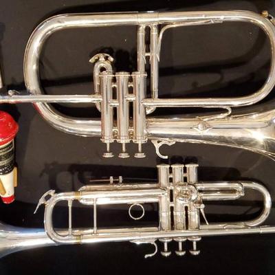 Ta301v trumpet and flugelhorn with case