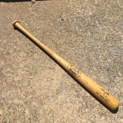 Burnished Baseball Bat