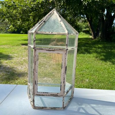 Transparent Terrarium