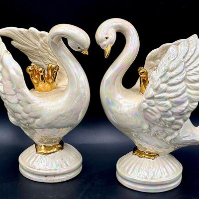 (2) Iridescent Swans