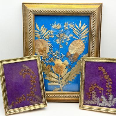 (3) Vintage Pressed Flowers 