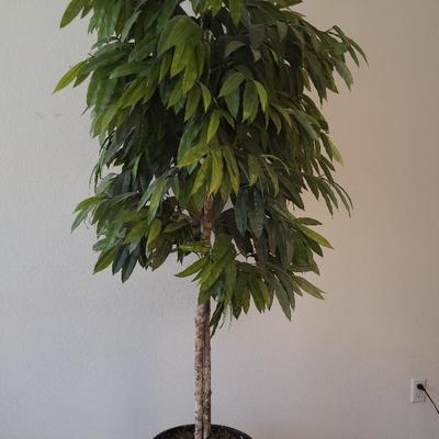 Artificial Tree