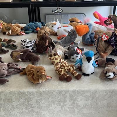 Collection of Beanie Babies -45 