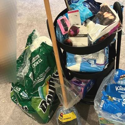 Rolling Cart And Other Bathroom Needs