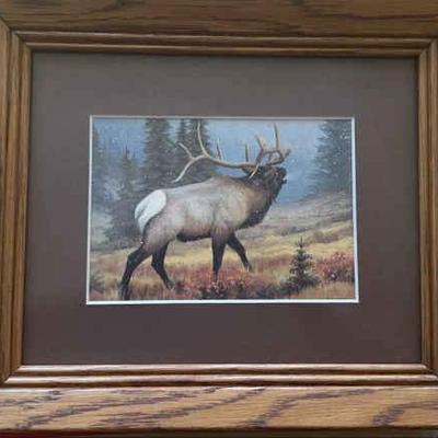 KKT010 - D. Enright Giclée Print of Elk