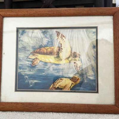 KKT288 - Beautiful Framed Turtle Print
