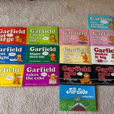 KKT137 Miscellaneous Garfield Comic Books & Out of The Print Far Side Book