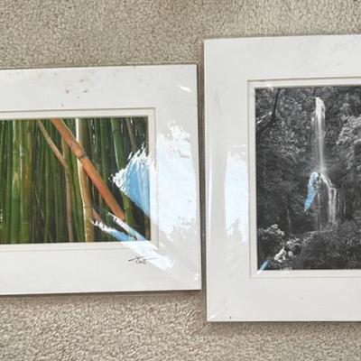 KKT284 - Kamo’s Island Photography “Wailua Falls” and “Bamboo Forest” Photo Prints