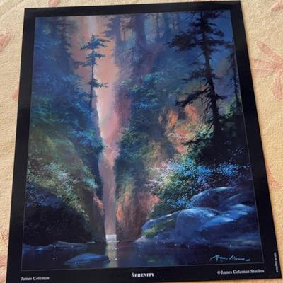 KKT175-Limited edition print “Serenity” by James Coleman