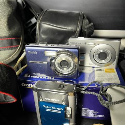Sale Photo Thumbnail #498