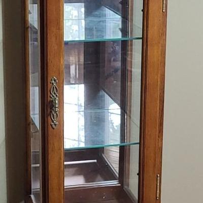 Contemporary Glass Encased Curio Cabinet
