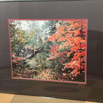 Fall Scene by J Miles Wolf (Signed/Numbered)