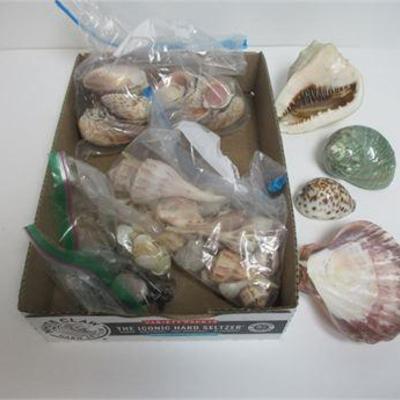 Sale Photo Thumbnail #112