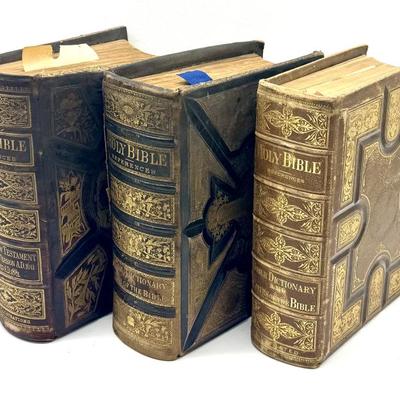 Large Family Bibles 