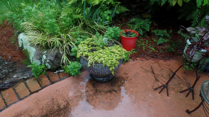 Sale Photo Thumbnail #336